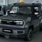 Maruti Suzuki Cervo